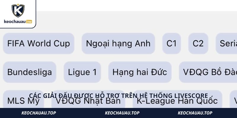 Các giải đấu được hỗ trợ trên hệ thống livescore