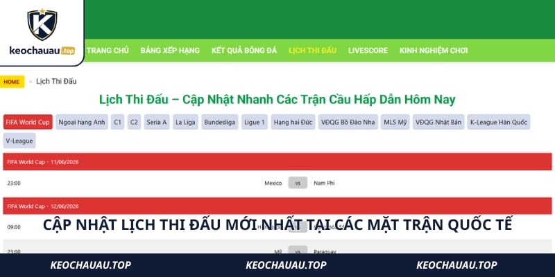 Cập nhật lịch thi đấu mới nhất tại các mặt trận quốc tế