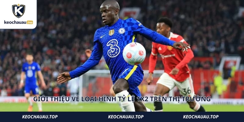 Giới thiệu về loại hình tỷ lệ 1x2 trên thị trường