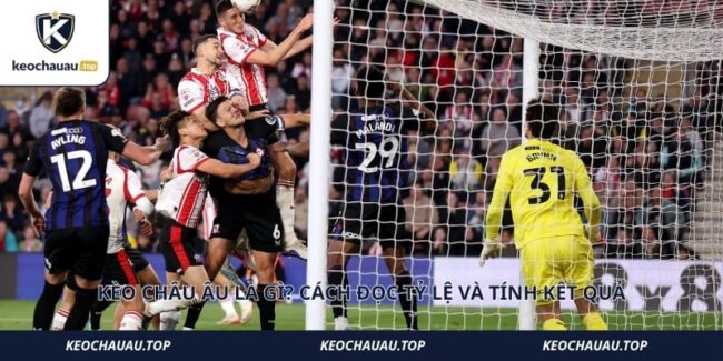 Kèo Châu Âu Là Gì? Cách Đọc Tỷ Lệ Và Tính Kết Quả