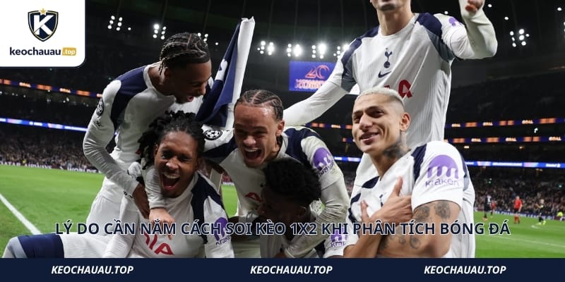 Lý do cần nắm cách soi kèo 1x2 khi phân tích bóng đá