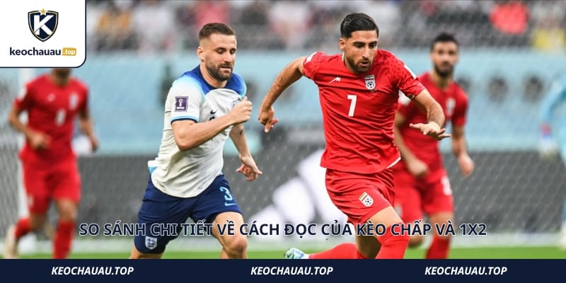 So sánh chi tiết về cách đọc của kèo chấp và 1X2
